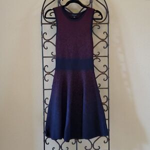 ANN TAYLOR Fit & Flare Ombre Dress - Size X-Small‎